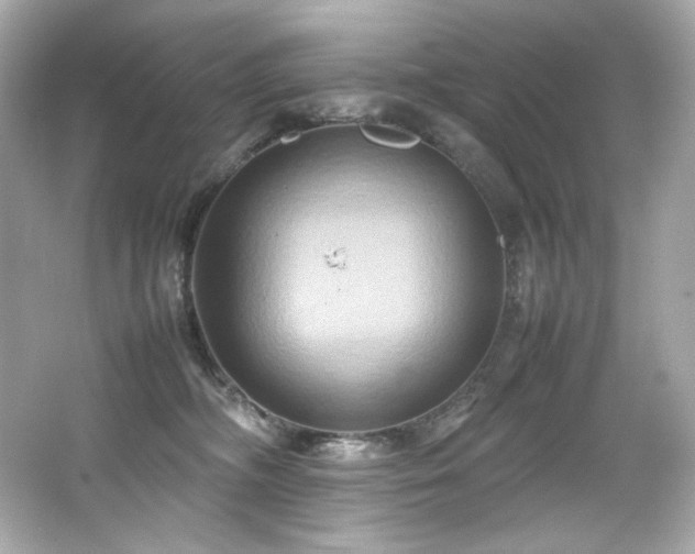 X0000066520326200603171225