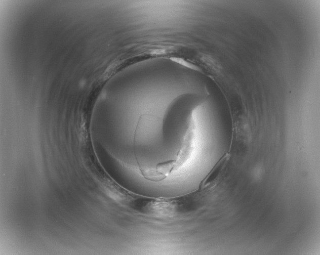 X0000066520327200603171225