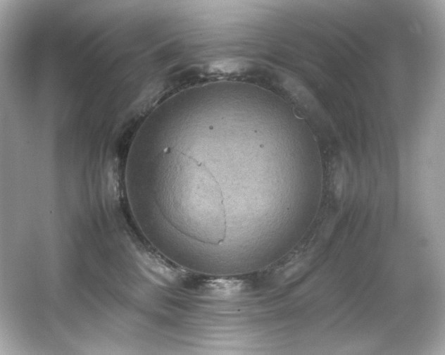 X0000066520328200603171225