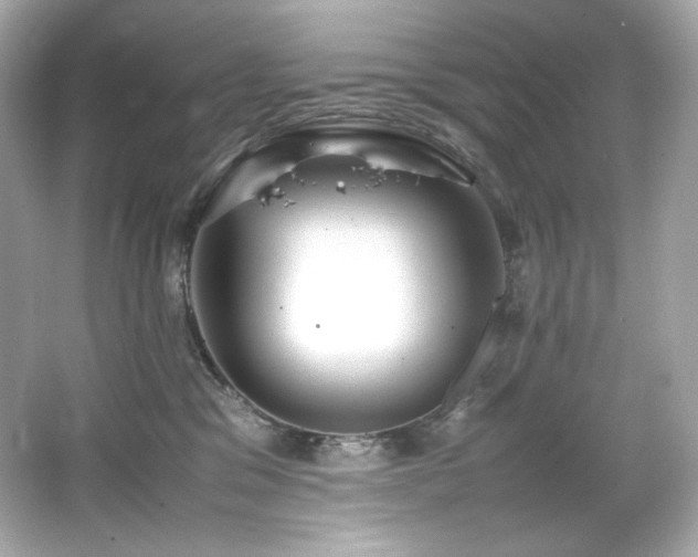 X0000066520329200603171225