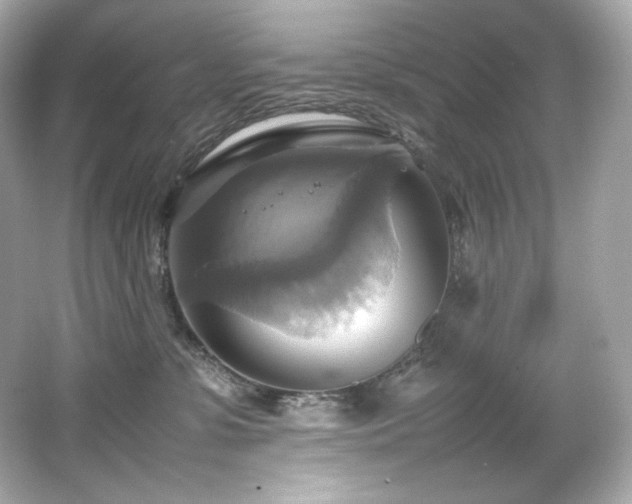 X0000066520331200603171225