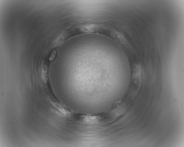 X0000066520332200603171225