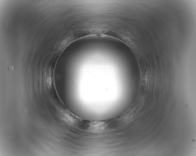 X0000066520334200603171225