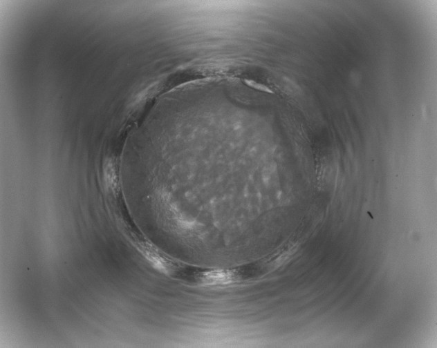 X0000066520335200603171224