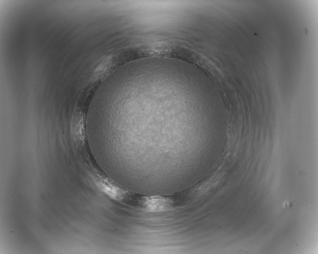 X0000066520336200603171224