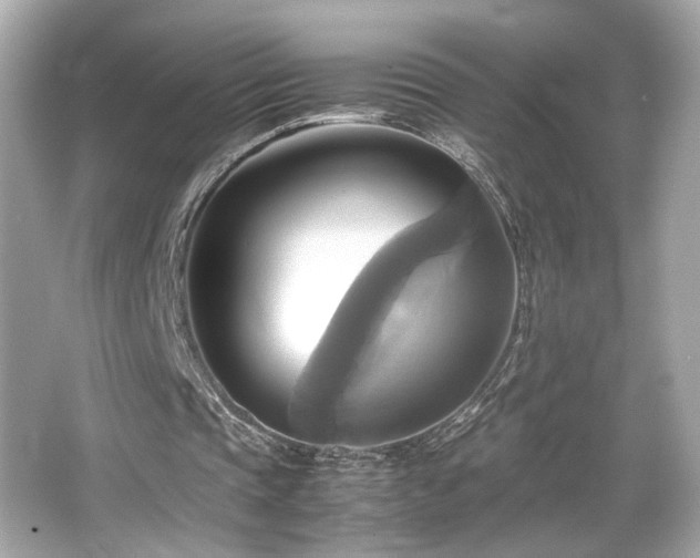 X0000066520337200603171224