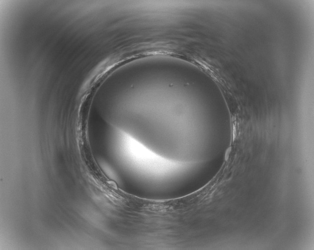 X0000066520339200603171224