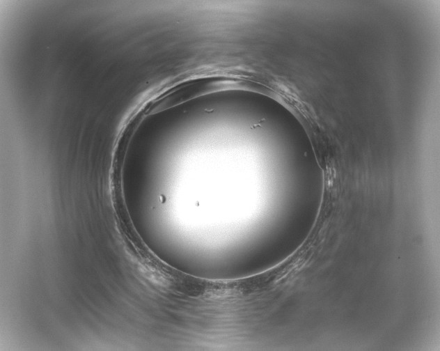 X0000066520340200603171224