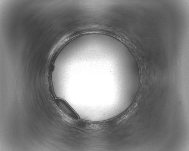 X0000066520341200603171224