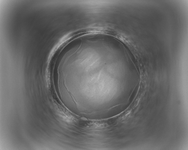 X0000066520343200603171224