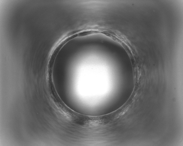 X0000066520344200603171224