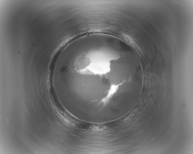 X0000066520346200603171224