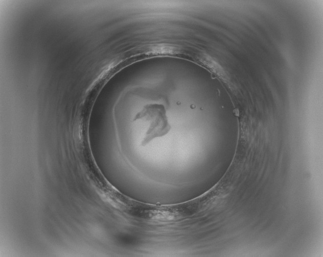 X0000066520347200603171224