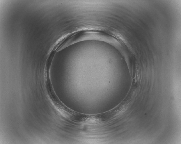 X0000066520348200603171224