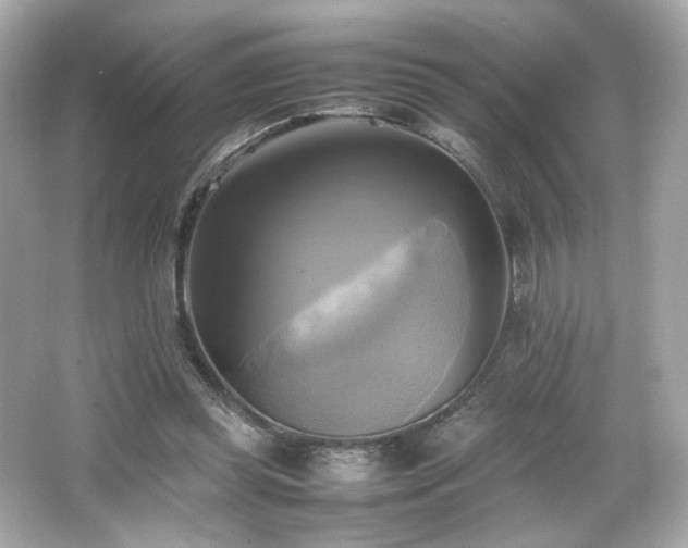 X0000066520349200603171224