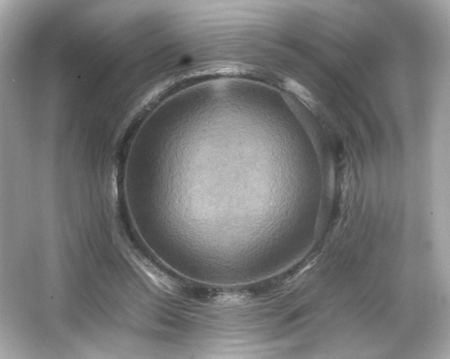 X0000066520350200603171224