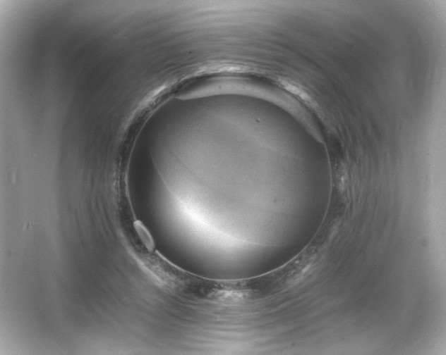 X0000066520352200603171224