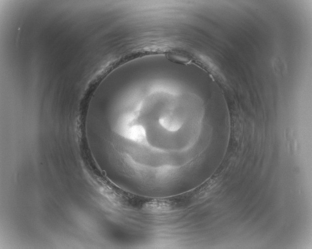 X0000066520354200603171224