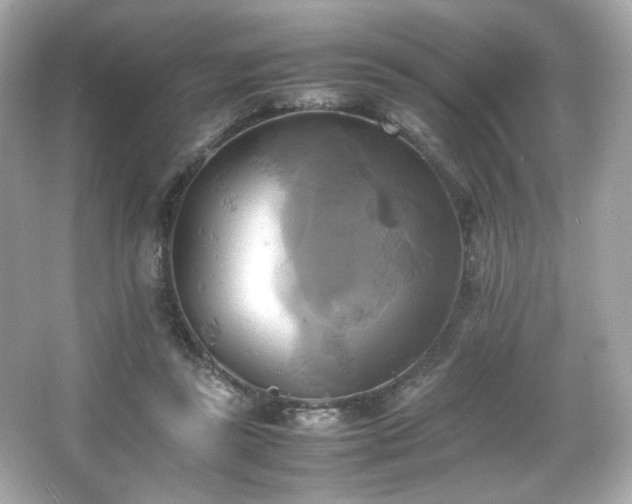 X0000066520355200603171224