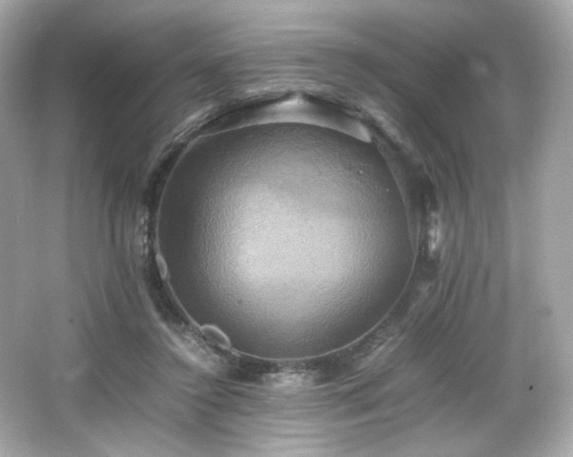 X0000066520356200603171224