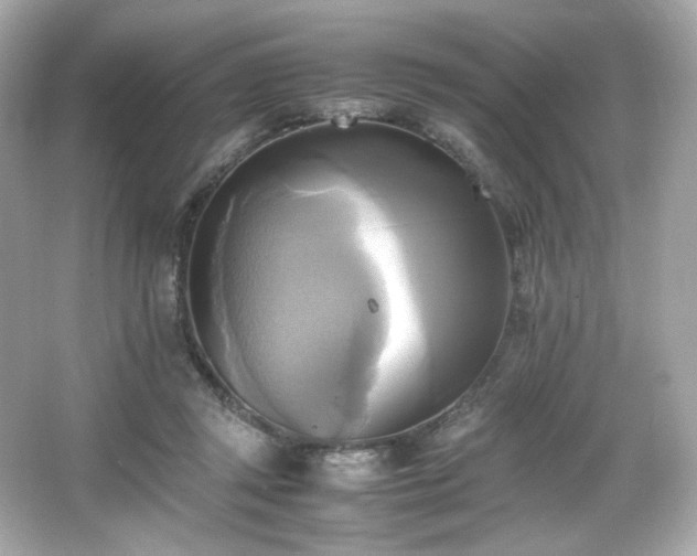 X0000066520357200603171224