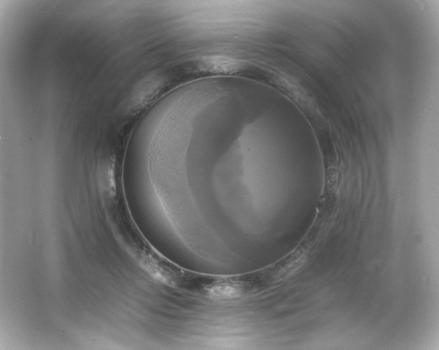 X0000066520358200603171224