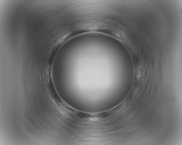 X0000066520360200603171224