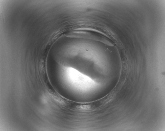 X0000066520361200603171224