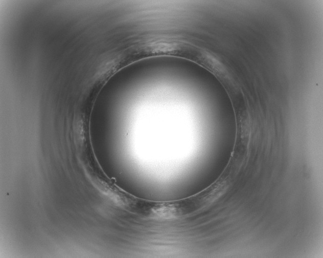 X0000066520362200603171224