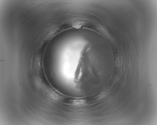 X0000066520363200603171224