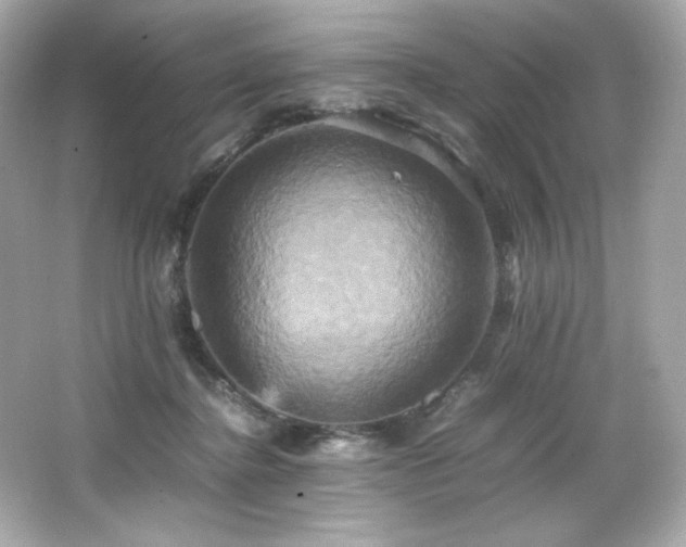 X0000066520364200603171224