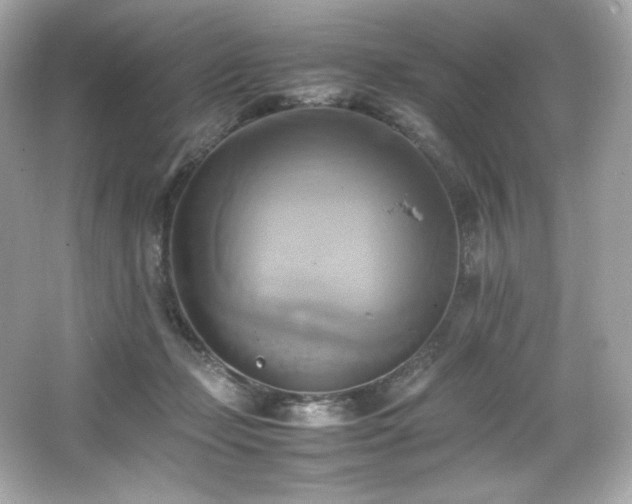 X0000066520365200603171224