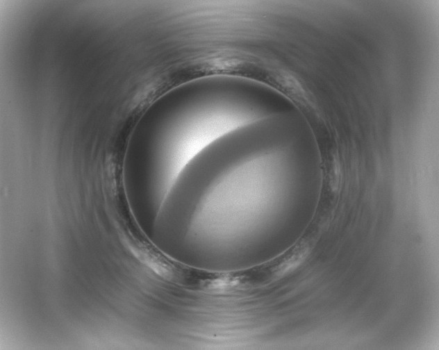 X0000066520366200603171224