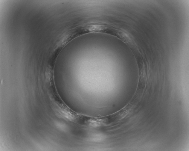 X0000066520367200603171224