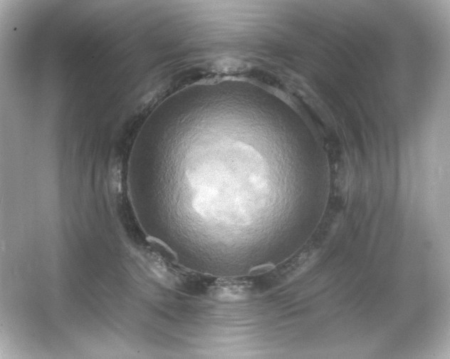 X0000066520368200603171224