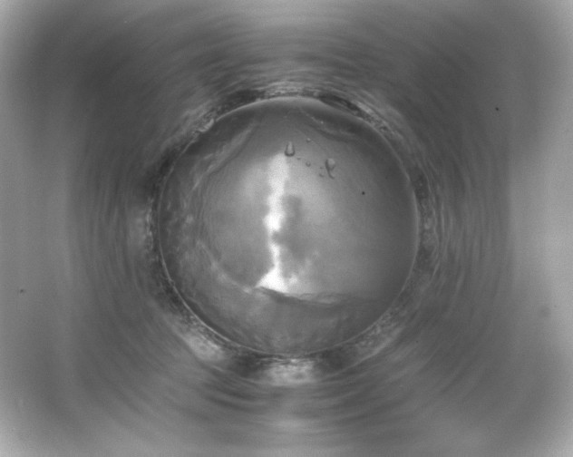 X0000066520369200603171224