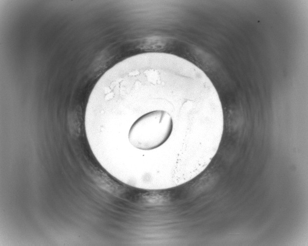 X0000066520370200603171224