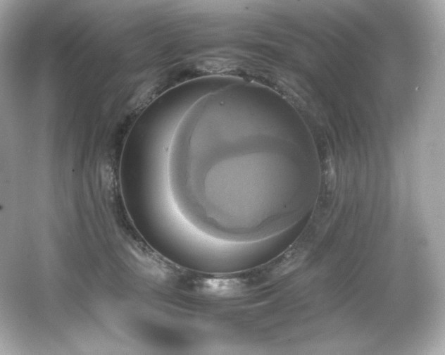 X0000066520371200603171224