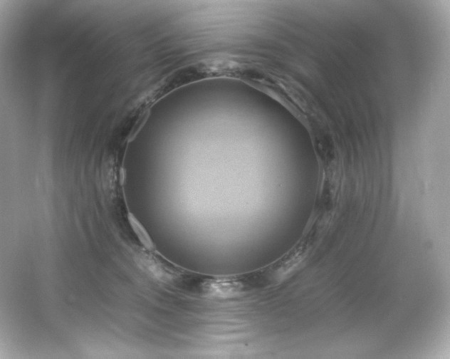 X0000066520372200603171224