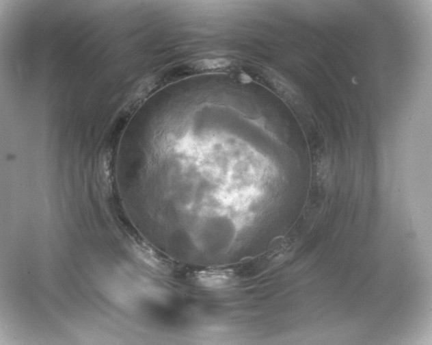 X0000066520373200603171224