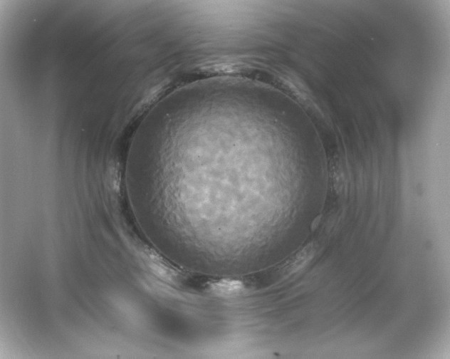 X0000066520374200603171224