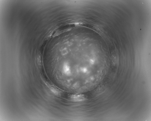 X0000066520375200603171224