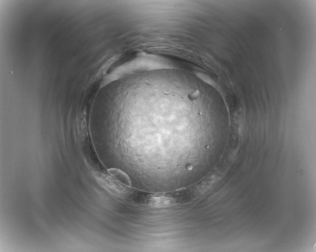 X0000066520376200603171224