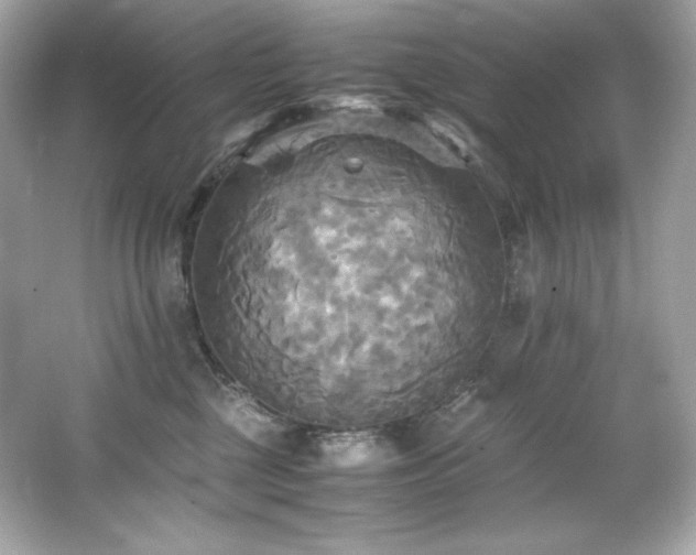 X0000066520377200603171224