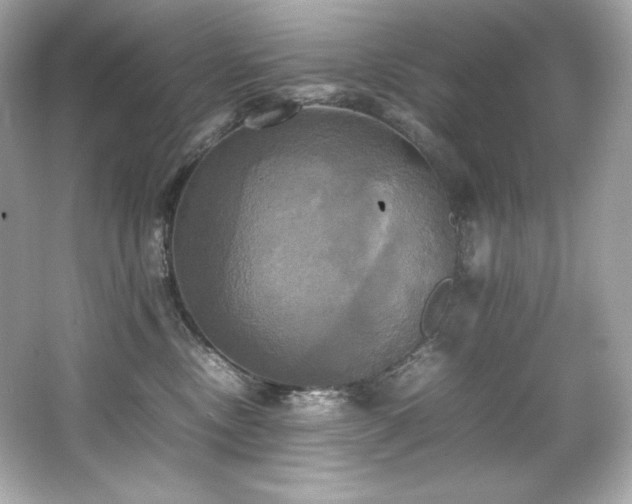 X0000066520378200603171224