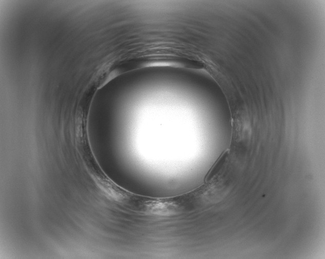 X0000066520379200603171224