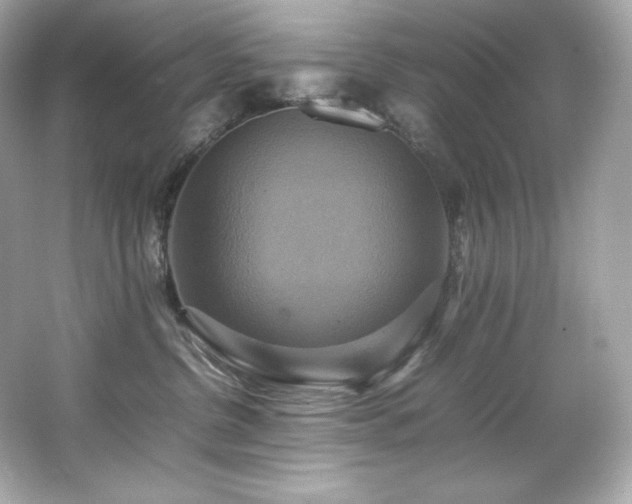 X0000066520380200603171224