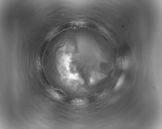 X0000066520381200603171224