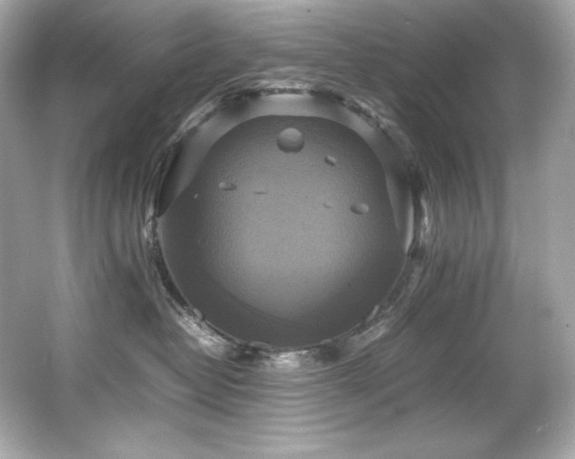 X0000066520382200603171224