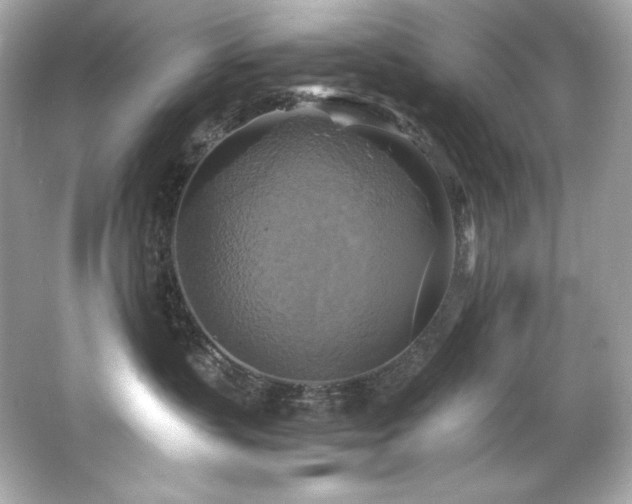 X0000066520383200603171224